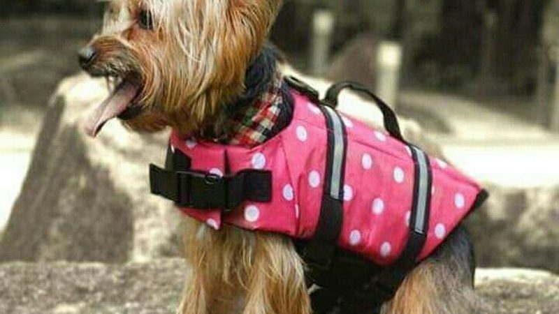 螺杆冷水机组：揭秘其品质背后的关键因素