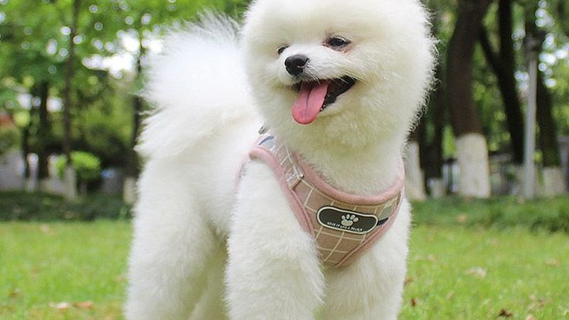 冷库制冷量计算：标准规范与关键要点解析